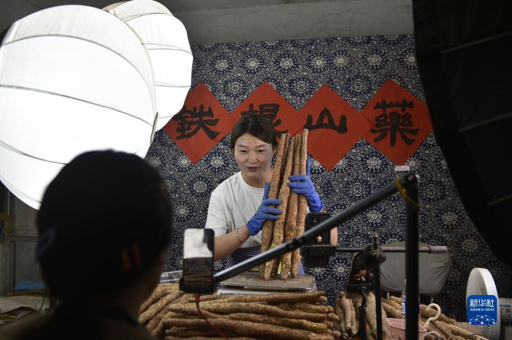 推饼子游戏下载